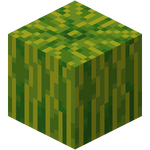 Melon Official Minecraft Wiki