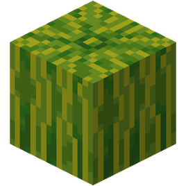 Melon JE2 BE2