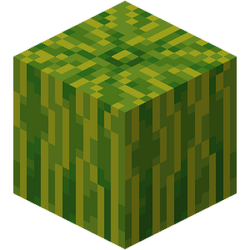 Melon – Minecraft Wiki