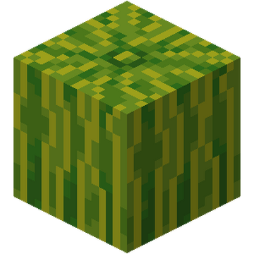 Blocks - Minecraft Guide - IGN