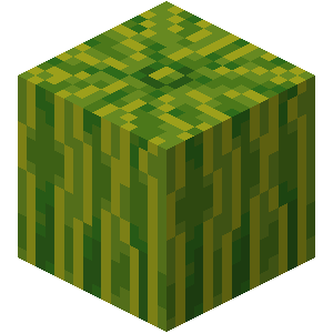 Melon Minecraft Wiki