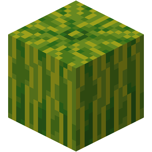 Melon – Minecraft Wiki