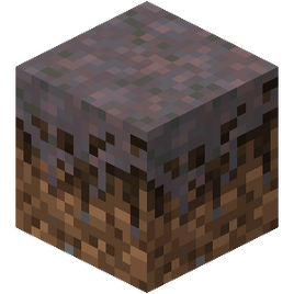 Mycelium