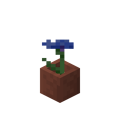 Potted Cornflower.png
