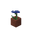 Potted Cornflower JE1 BE1.png