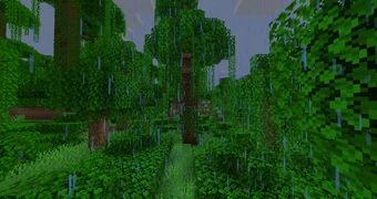 Lluvia en un bioma de jungla.