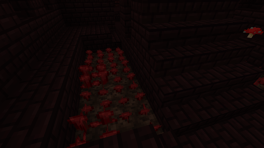 Went to a nether fortress to find some loot and xp, instead I