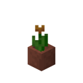 Potted Orange Tulip.png