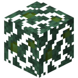 Snowy Plains