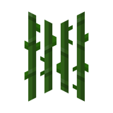 Swamp Sugar Cane (Cold)