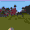Commands/camerashake
