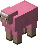 Pink Sheep