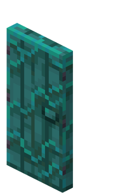 Warped Door