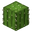 Cactus BE4.png
