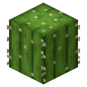 https://static.wikia.nocookie.net/minecraft_gamepedia/images/f/f3/Cactus_BE4.png/revision/latest?cb=20191208221711