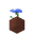 Potted Cornflower UNKVER2 (facing NWU).png