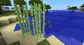 Arrows sticking into sugar cane before Beta 1.6.