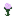 Paeonia (Textur) JE1.png