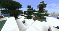 Numerous spruce trees.