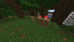 Fallen Oak Tree generated in a Dark Oak Forest.