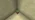 Potted Birch Sapling JE3