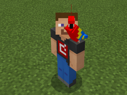Parrot Official Minecraft Wiki Parrot Official Minecraft Wiki