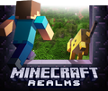 The original Java Edition realms banner