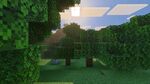 The forest biome with Vibrant Visuals enabled.