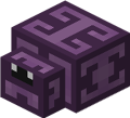 Endermite