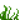 Seagrass (item) BE2