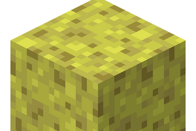 Wet sponge sale minecraft