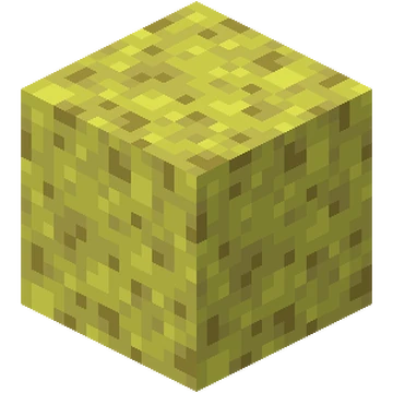 Sponge_JE3_BE3