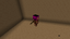 20w07a piglin turtle shell.png