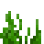 Seagrass (item) JE2