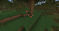 Mushrooms found in a swamp biome.