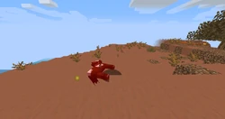 A dying horse mob.