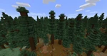 Mega Spruce Trees