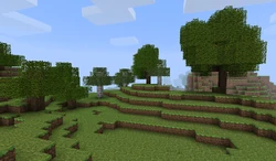 Oaks and birches in Beta 1.4.
