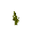 Pumpkin Stem Age 6 JE7.png