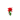 Rose JE3