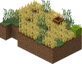 Savanna Small Farm.png