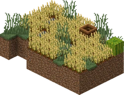 Savanna Small Farm
