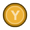 Y button