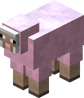 Pink Sheep JE1