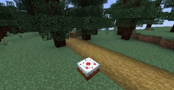 Cake