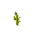 Stem Age 6 JE1.png