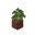 Potted Birch Sapling JE4.png