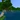 V1.8.0 panorama 2