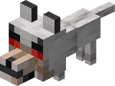 Baby Angry Wolf JE2 BE2
