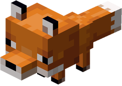 Fox kit